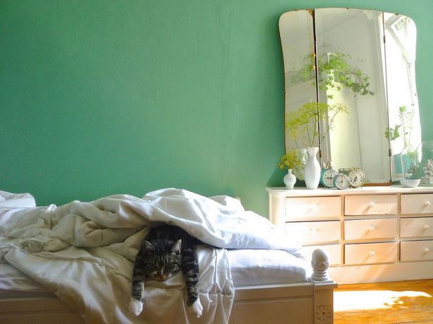 schlafzimmer-wandfarbe-grun-16_9 Hálószoba fal színe zöld