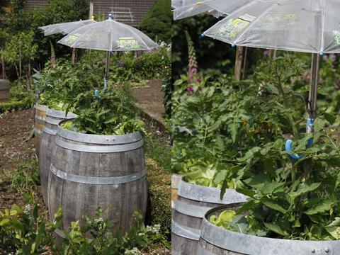 aussergewohnliche-deko-fur-den-garten-27_11 Rendkívüli dekoráció a kertben