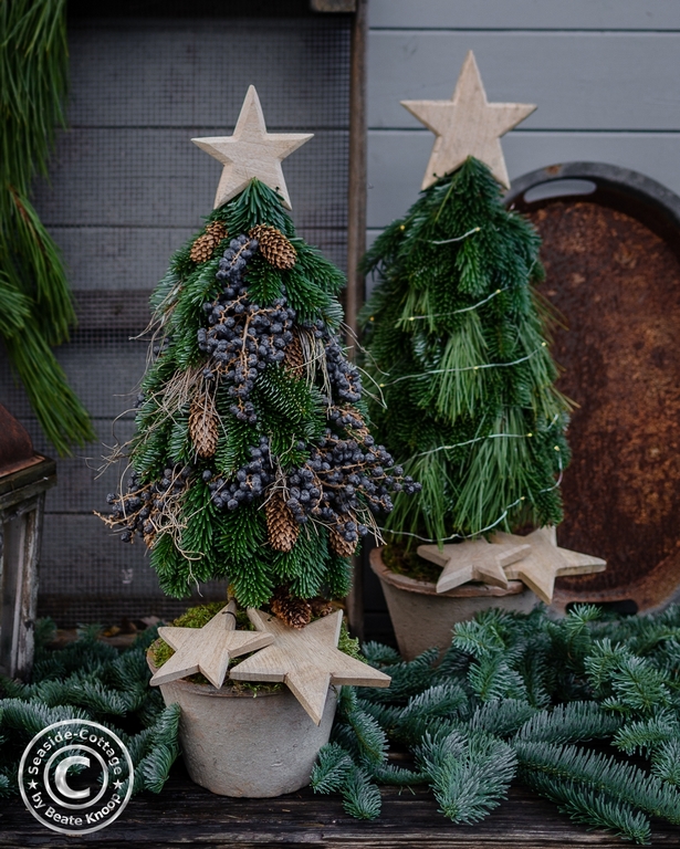 gartendeko-weihnachten-selber-machen-28_5 Készítsen saját kerti dekorációt karácsonyra