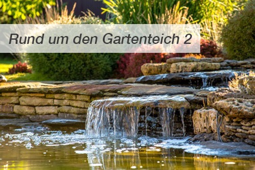 wasser-deko-im-garten-45_13 Víz dekoráció a kertben