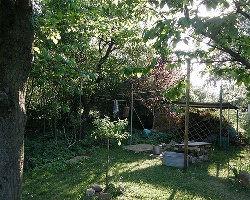 gartenecken-schon-gestaltet-45 Gyönyörűen kialakított kerti sarkok