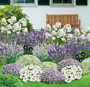 mein-schoner-garten-gartengestaltung-60_10 A gyönyörű kert kerttervezés