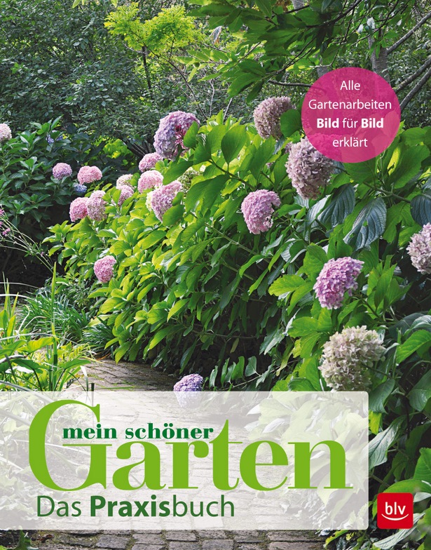 mein-schoner-garten-gartengestaltung-60_7 A gyönyörű kert kerttervezés