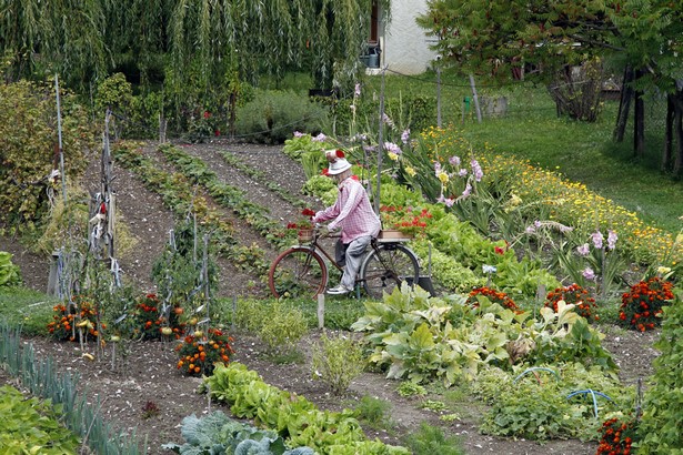 schone-gartenbeete-98_13 Gyönyörű kerti ágyak