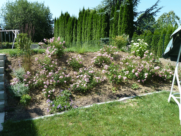 schoner-garten-gestalten-37 Hozzon létre egy gyönyörű kertet