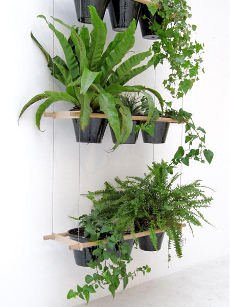 deko-ideen-pflanzen-02_13 Dekorációs ötletek növények