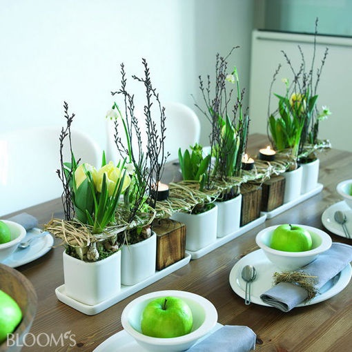 pflanzen-deko-ideen-66 Növényi dekorációs ötletek