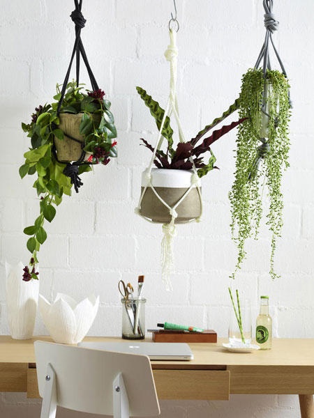 pflanzen-deko-ideen-66_7 Növényi dekorációs ötletek