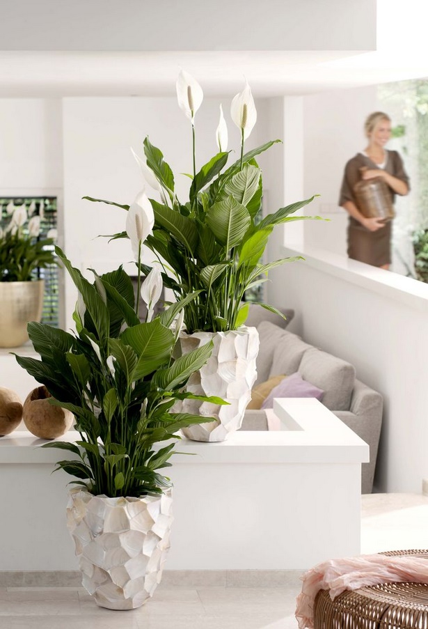 pflanzen-dekoration-wohnzimmer-63_2 Növények dekoráció nappali