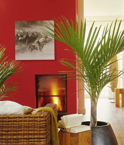 palme-wohnzimmer-14 Palm nappali