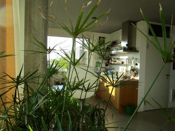 bilder-von-wohnungen-06 Apartmanok képei