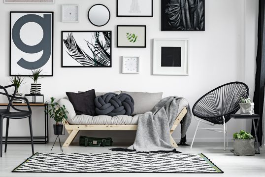Fekete-fehér nappali kialakítása