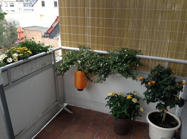 ideen-fur-sichtschutz-balkon-66_18 Ötletek adatvédelmi erkély