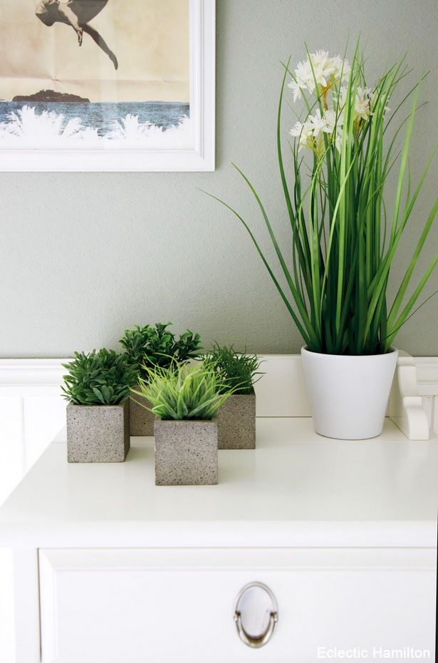 deko-pflanzen-bad-40 Dekoráció növények fürdőszoba