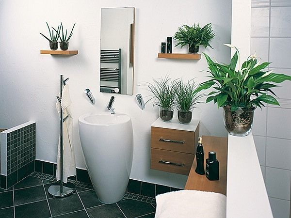 deko-pflanzen-bad-40_2 Dekoráció növények fürdőszoba