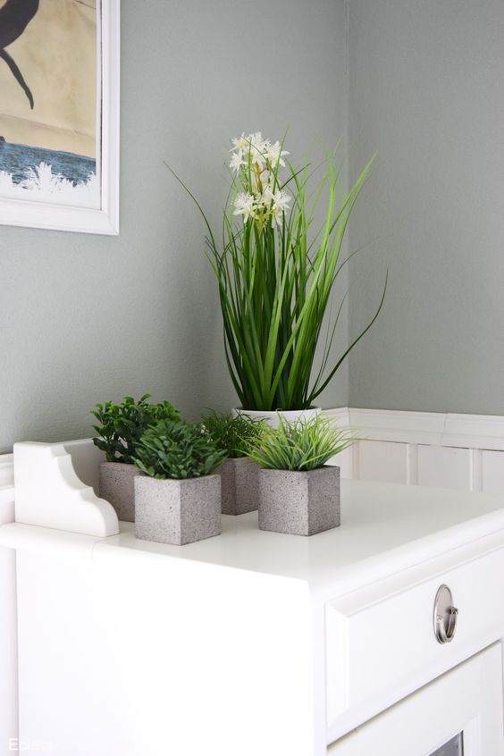 deko-pflanzen-bad-40_9 Dekoráció növények fürdőszoba