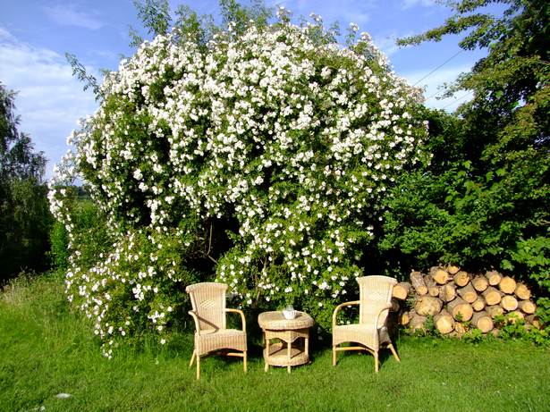 kleine-sitzecke-garten-gestalten-28_5 Kis nappali kert kialakítása