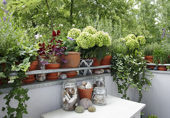 balkon-dekorieren-mit-pflanzen-20_9 Erkély díszítő növények