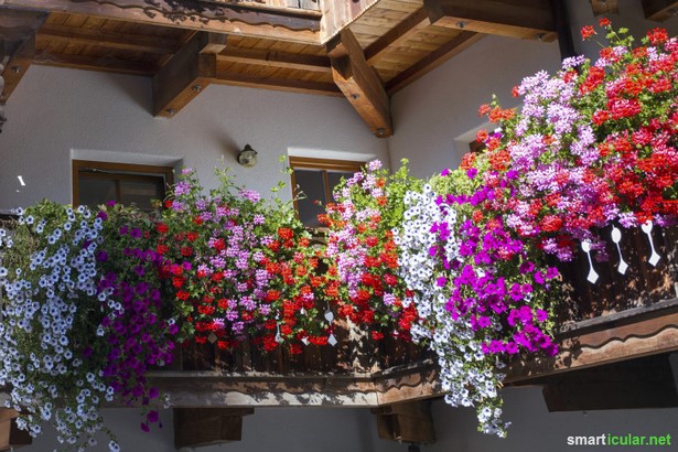 balkon-mit-blumen-gestalten-03_12 Tervezzen egy erkélyt virágokkal