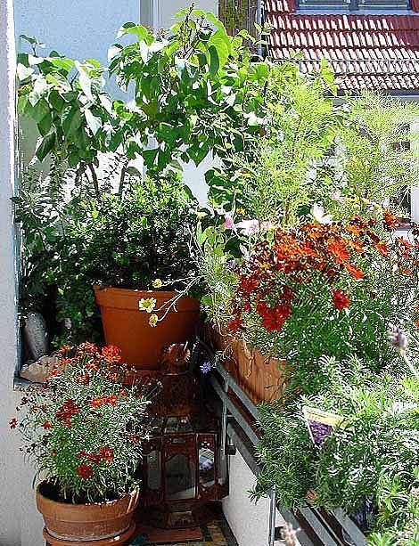 balkon-schon-bepflanzen-14_10 Erkély ültetés gyönyörű