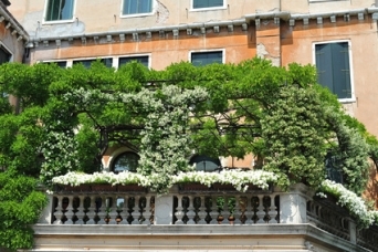 balkongestaltung-mit-pflanzen-42_10 Erkély tervezés növényekkel