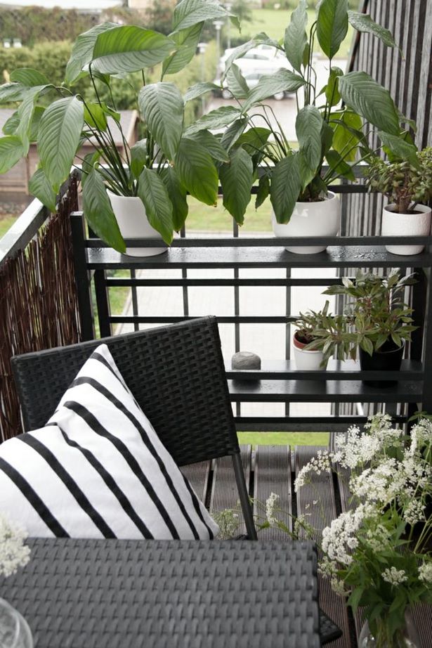 balkongestaltung-mit-pflanzen-42_16 Erkély tervezés növényekkel