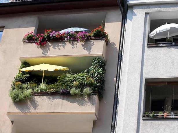 bepflanzte-balkone-00_14 Ültetett erkélyek