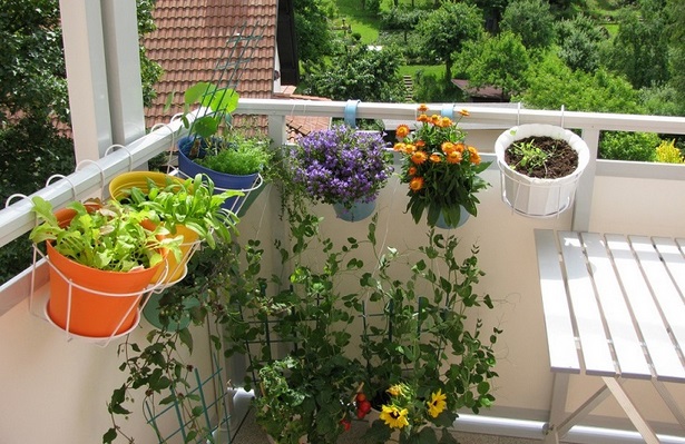 ideen-bepflanzung-balkonkasten-17_11 Ötletek ültetés erkély doboz