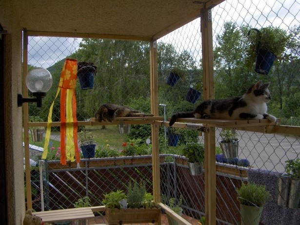 katzen-balkon-ideen-39_12 Macskák erkély ötletek