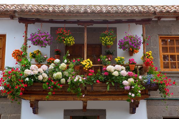 sudbalkon-blumen-99_2 Déli fekvésű erkély virágok