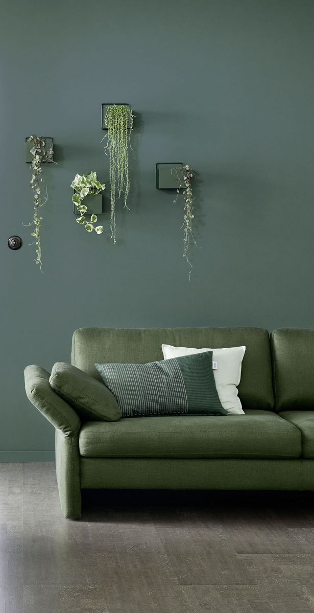 grune-couch-welche-wandfarbe-96_16 Zöld kanapé milyen falszín