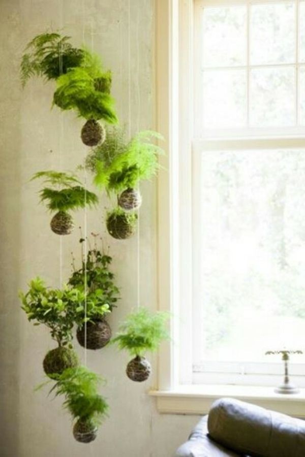 pflanzen-ideen-wohnzimmer-00_5 Növények ötletek nappali