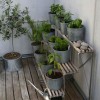 Gyógynövény kert, erkély ötletek