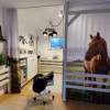 Ló szoba ötletek